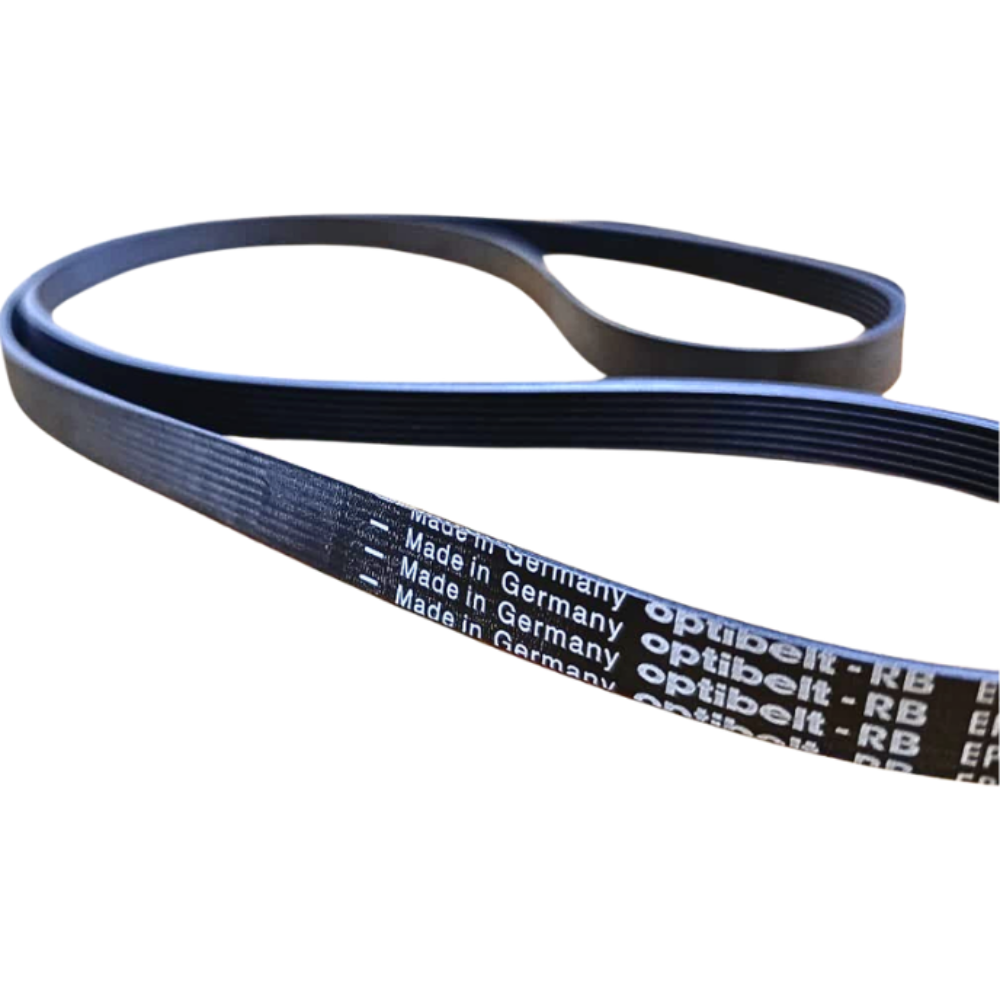 CORREA POLY ELASTICA 8PH 1212