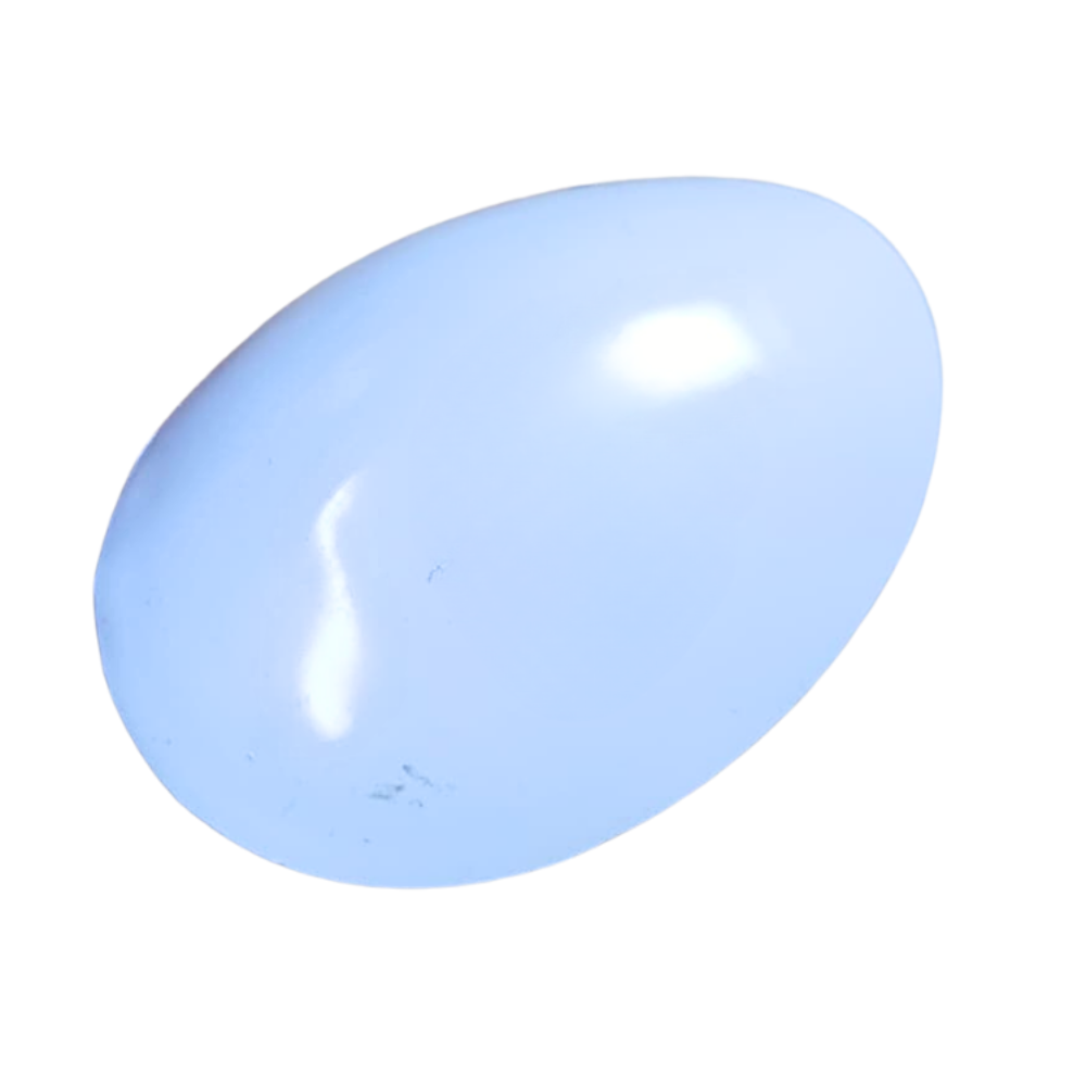 ALMEJA TIRADOR DREAN