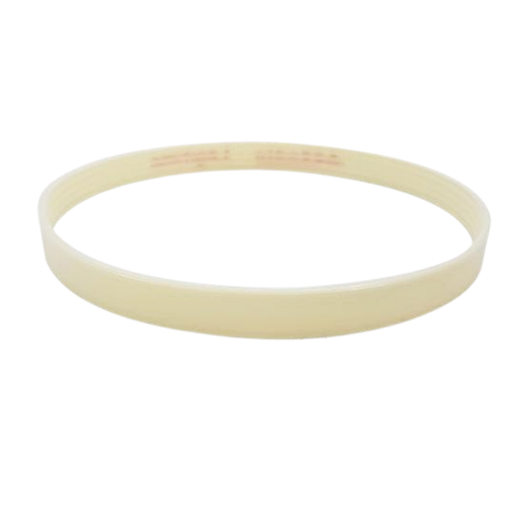 CORREA ALLADIO  JM CORTA