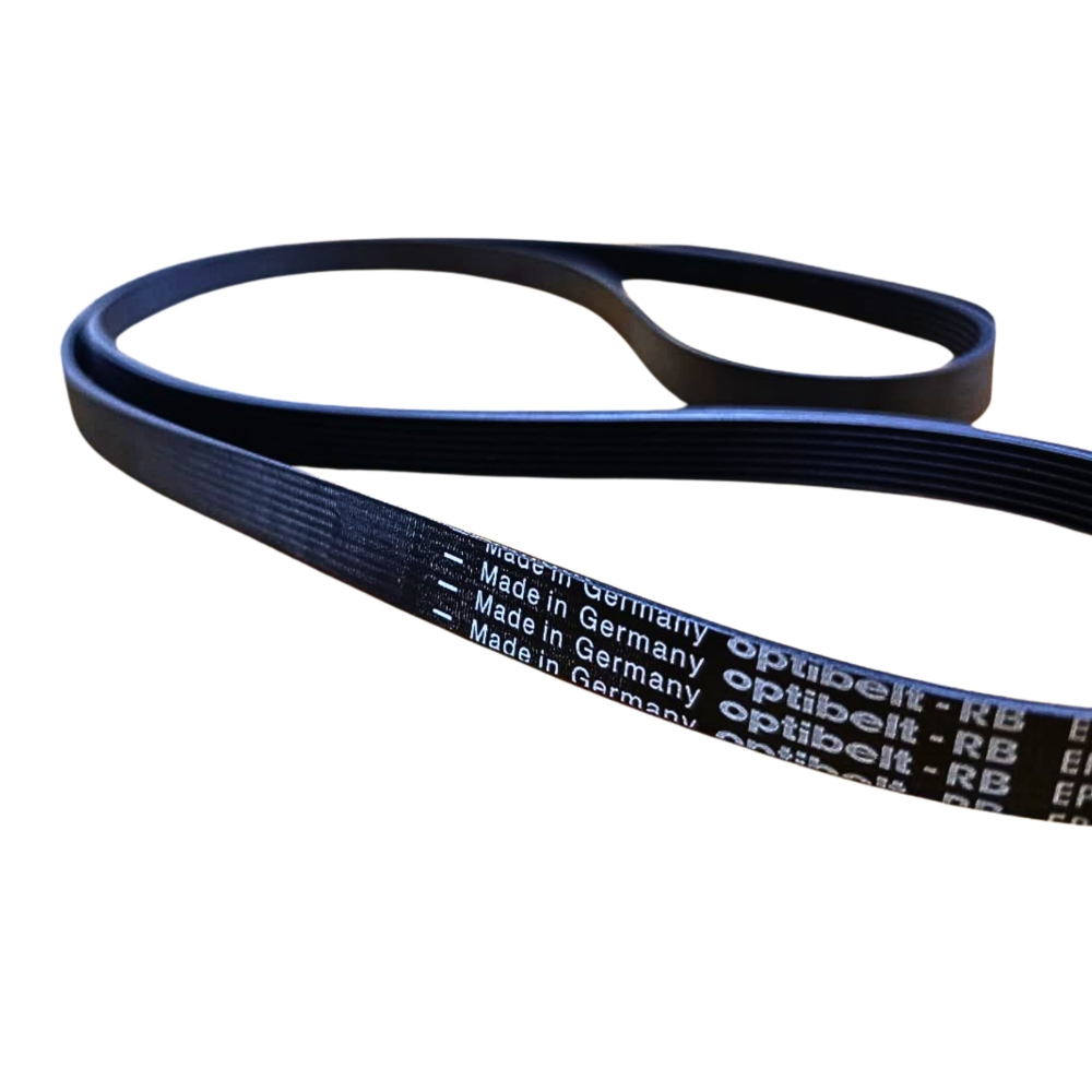 CORREA 8PJ 1181 DREAN LEGITIMA